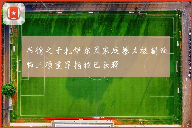 韦德之子扎伊尔因家庭暴力被捕面临三项重罪指控已获释