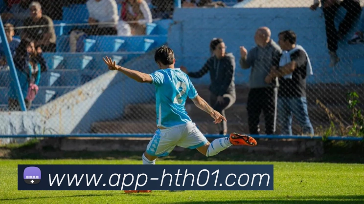 未来规划